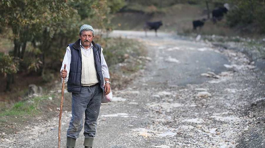 Uludağ eteklerinde besicilerin ayı korkusu