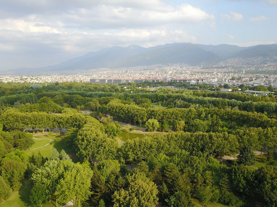 Yeşil gri Bursa...