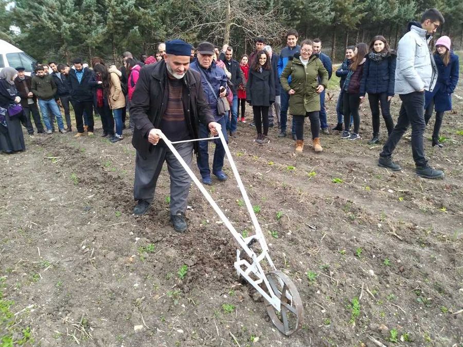 Kent Bostanları