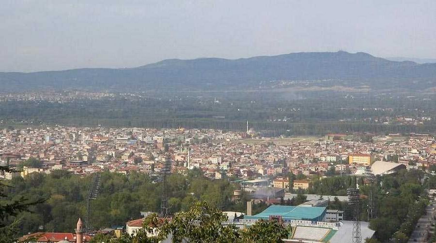 Bursa