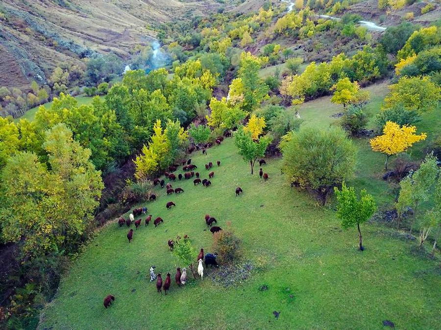 Türkiye