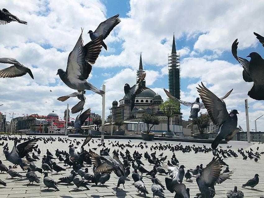 Taksim Meydanı, güvercinlere kaldı