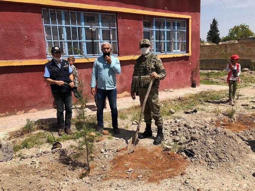 Barış Pınarı bölgesinde içme suyu ve ağaçlandırma faaliyetleri sürüyor