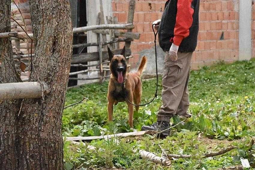 Otizmli küçük çocuk her yerde aranıyor