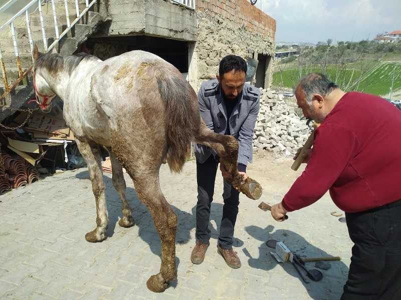 Selendi’nin tek nalbant ustası mesleğini seyyar olarak yapıyor