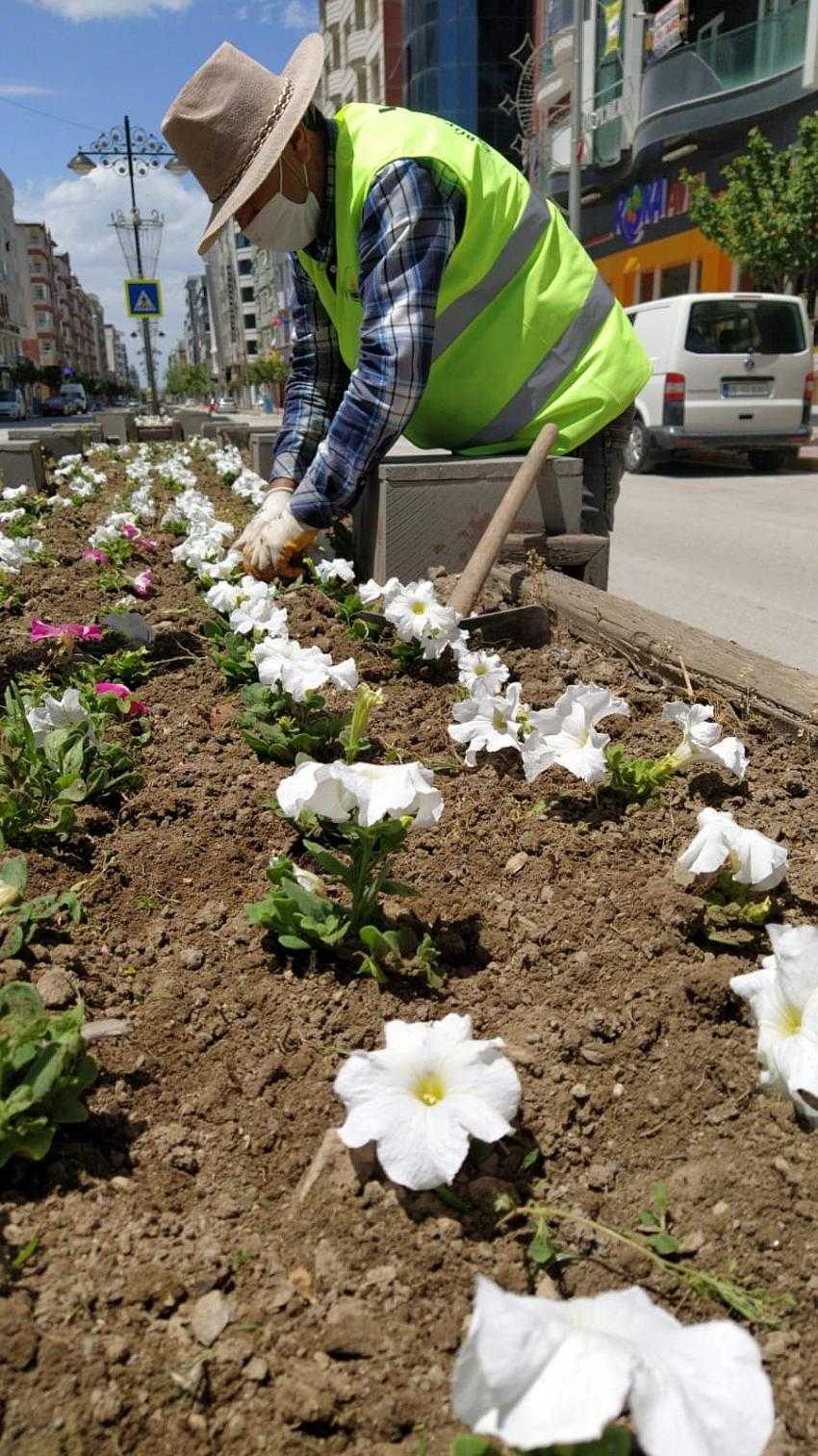 Van Büyükşehir Belediyesinden bayramda çiçek mesaisi