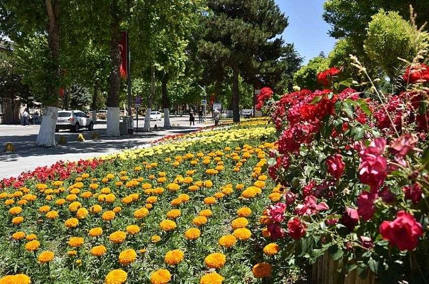 Büyükşehir Belediyesi’nden 150 bin çiçek