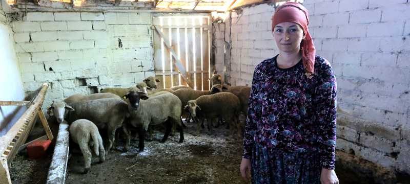 İki üniversite, 4 dil! Rus kadın Bursa’da hayvancılık yapıyor