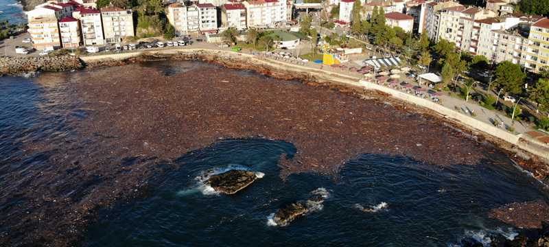 Giresun