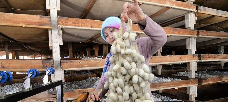 Bir kutusundan asgari ücret kadar para kazanıyorlar