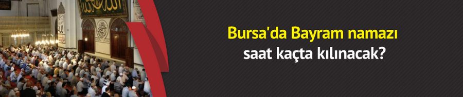 Bursa