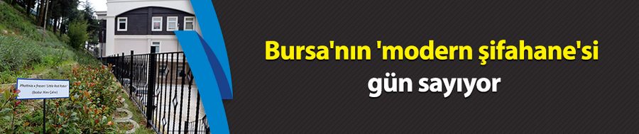 Bursa