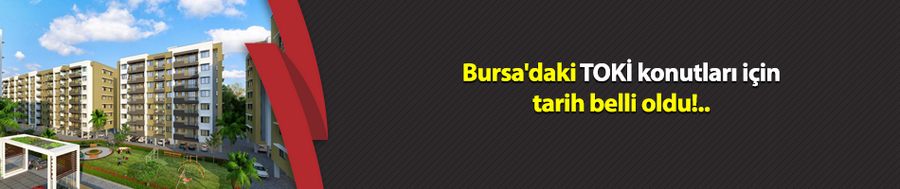 Bursa