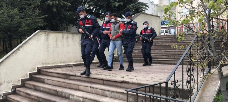 Çoban köpeklerini eşek yavrusuna saldırtan cani yakalandı