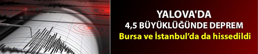 Bursa