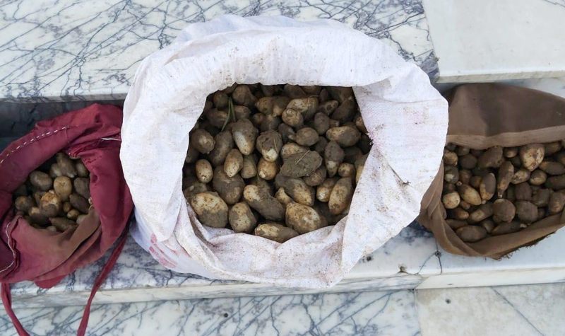 50 kilo topladılar, 307 bin lira ceza yediler