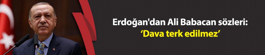 Erdoğan, Babacan