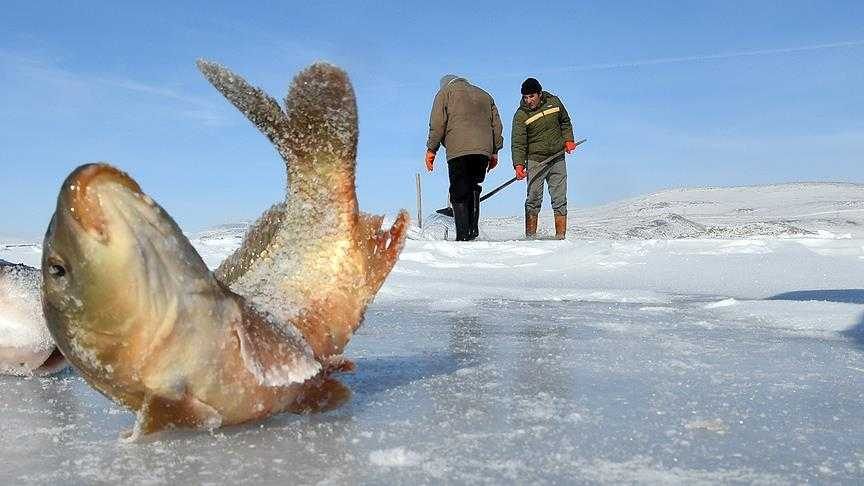 Eskimo usulü balık avlıyorlar 