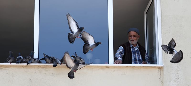 Bursalı Hasan Amca, penceresine konan güvercinleri besledi