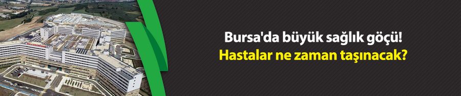 Bursa