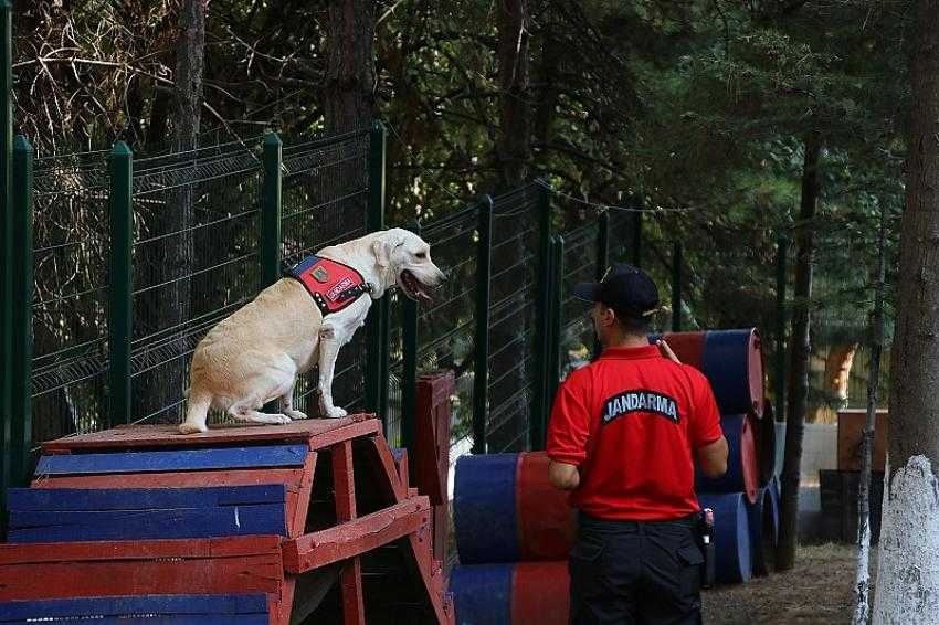 Jandarmanın bombalara karşı 