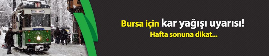 Bursa