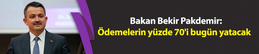 Bakan Pakdemir: Ödemelerin yüzde 70