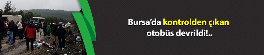 Bursa