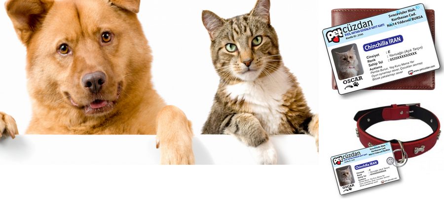 Evcil hayvanlar için kimlik kartı : Pet Cüzdan