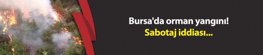 Bursa