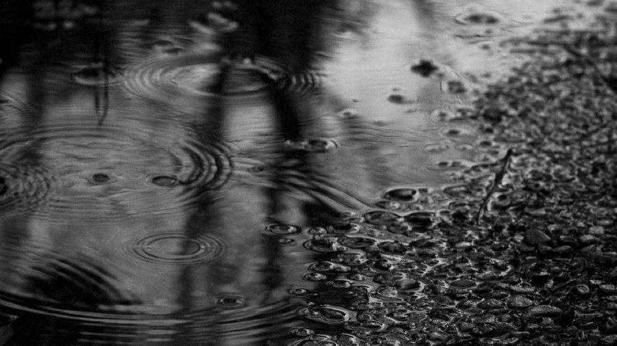 Meteoroloji