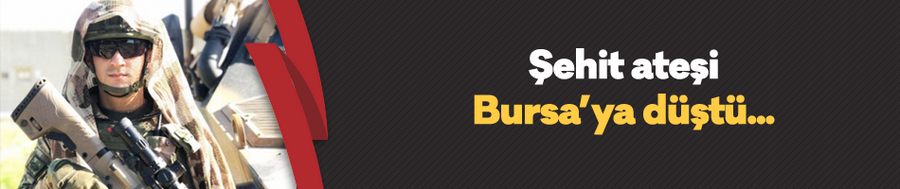 Bursa