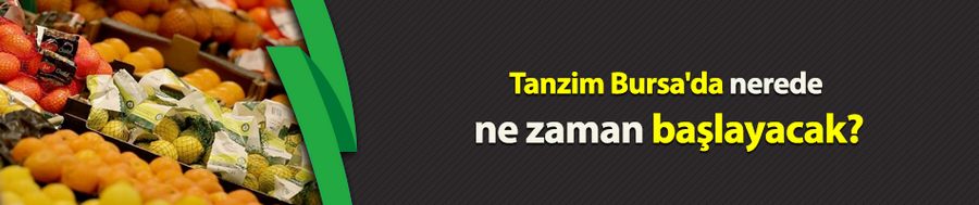 Tanzim Bursa