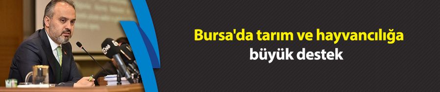 Bursa