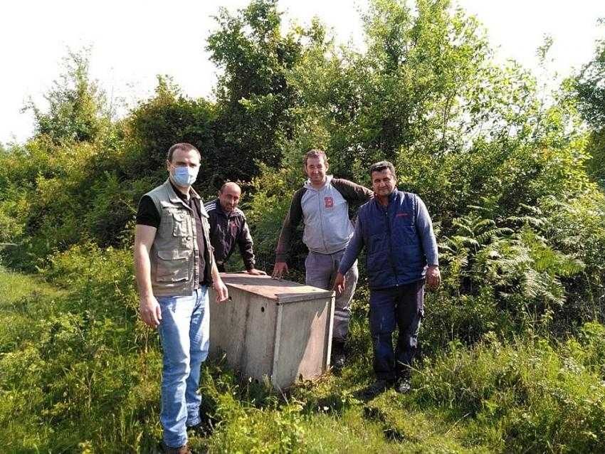 Türkeli’de köy mezarlığında mahsur kalan karaca kurtarıldı