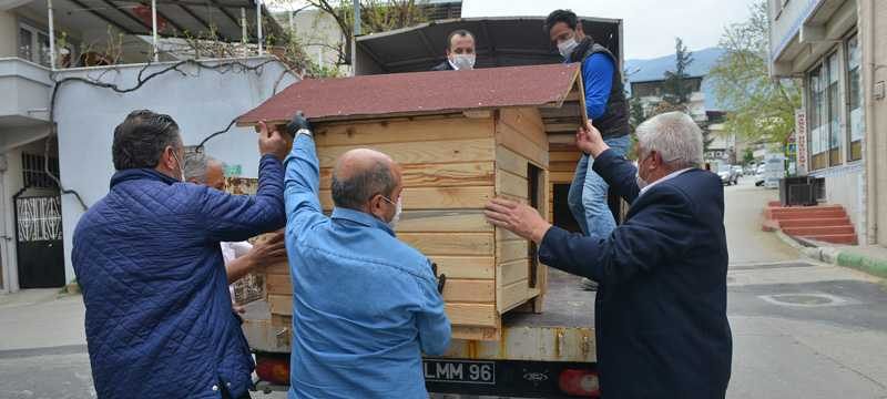 Evde kaldı, sokak hayvanlarını da unutmadı